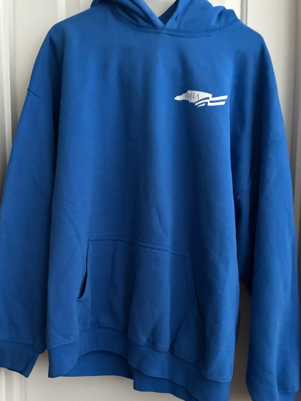 Gildan Royal Blue Hoodie with White Logo